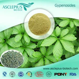 Gynostemma Pentaphyllum Gypenoside Fornitur tal-Estratt Bejgħ bl-ingrossa/jiaogulan